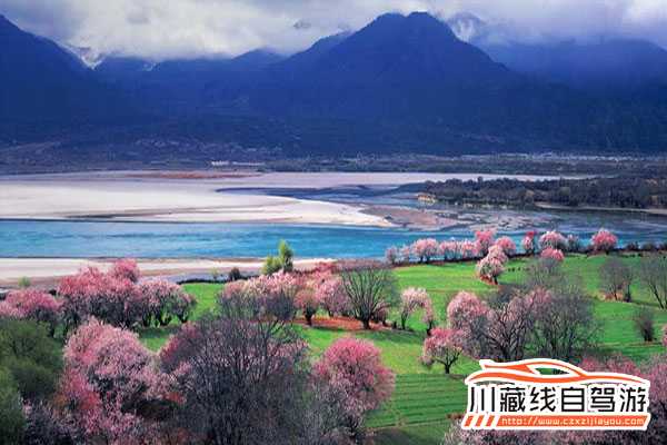 成都租車(chē)去拉薩