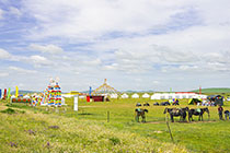 藏北大草(cǎo)原;2.jpg