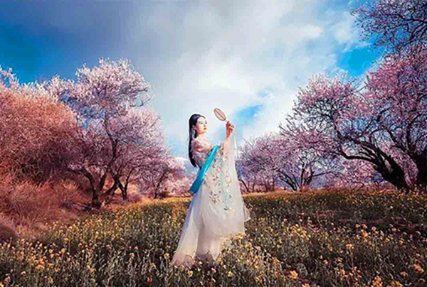 林芝桃花(huā)人像照片林芝桃花(huā)大圖片欣賞